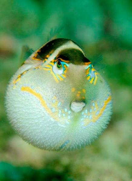 �����@��l